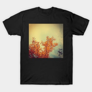 Yellow Birch Leaves T-Shirt